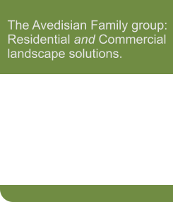 The Avedisian Family group: Residential and Commercial landscape solutions.